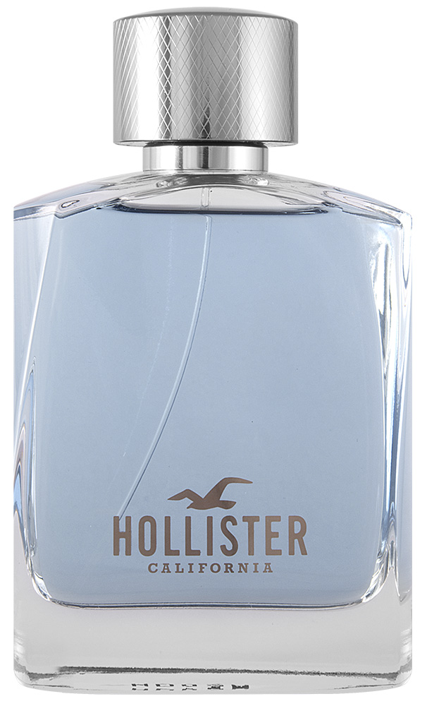 Hollister Hollister Wave For Him Eau de Toilette 100 ml